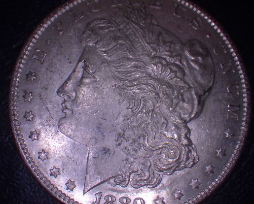 1880-O-Morgan-Experiment-*results*