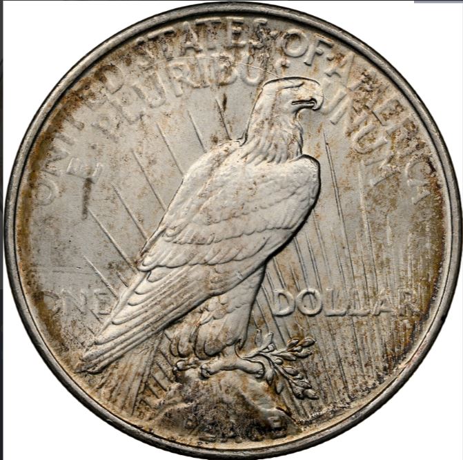 Now-Putting-Together-Peace-Dollar-Set