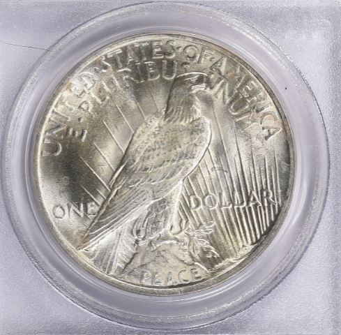 Now-Putting-Together-Peace-Dollar-Set