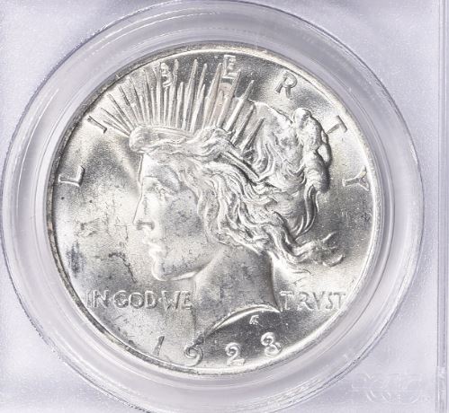 Now-Putting-Together-Peace-Dollar-Set