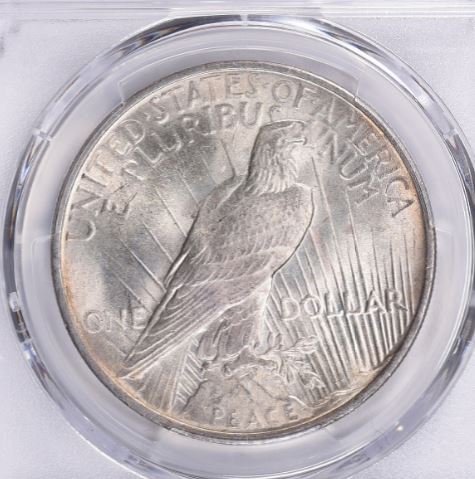 Now-Putting-Together-Peace-Dollar-Set