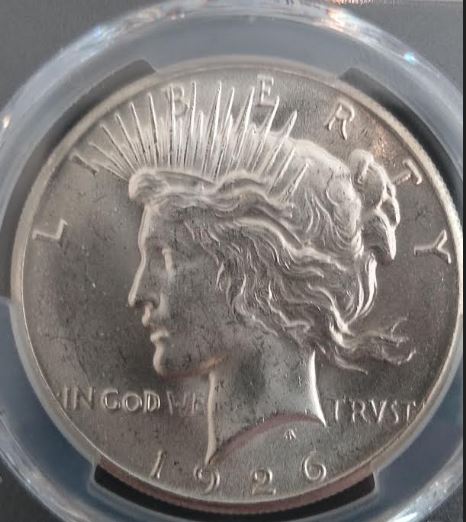 Now-Putting-Together-Peace-Dollar-Set