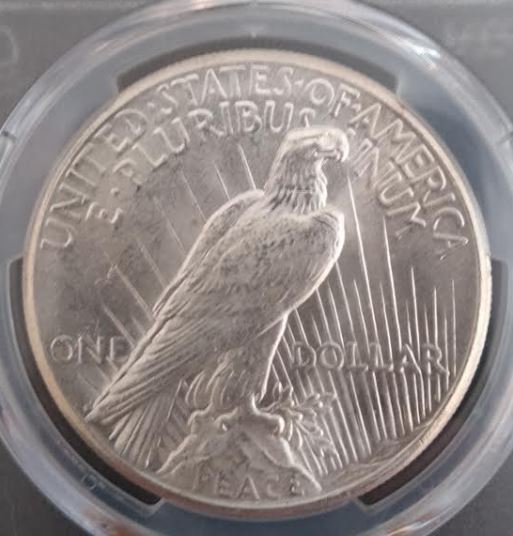 Now-Putting-Together-Peace-Dollar-Set