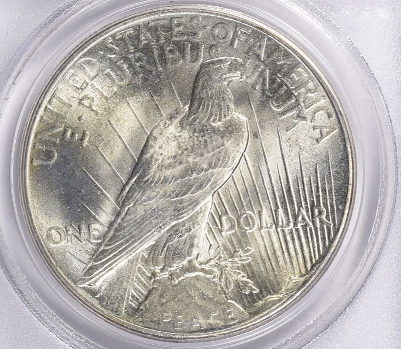 Now-Putting-Together-Peace-Dollar-Set