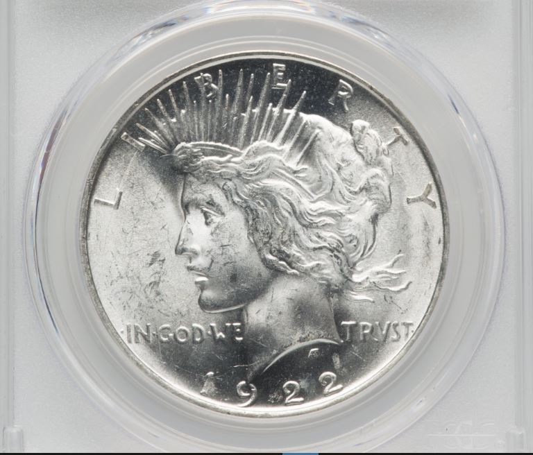 Now-Putting-Together-Peace-Dollar-Set