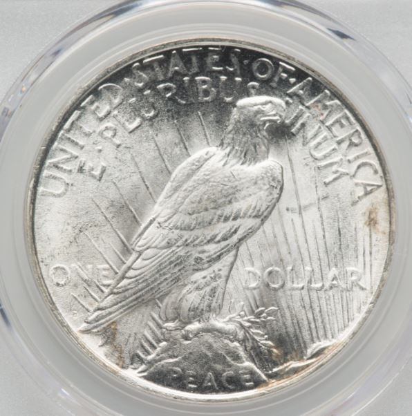 Now-Putting-Together-Peace-Dollar-Set