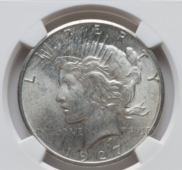 Now-Putting-Together-Peace-Dollar-Set