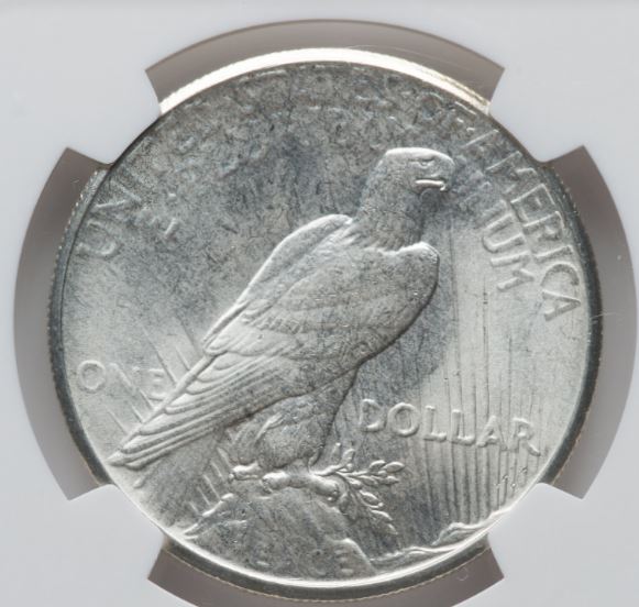 Now-Putting-Together-Peace-Dollar-Set