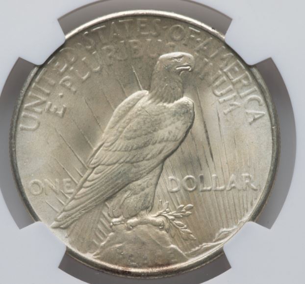 Now-Putting-Together-Peace-Dollar-Set