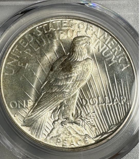 Now-Putting-Together-Peace-Dollar-Set