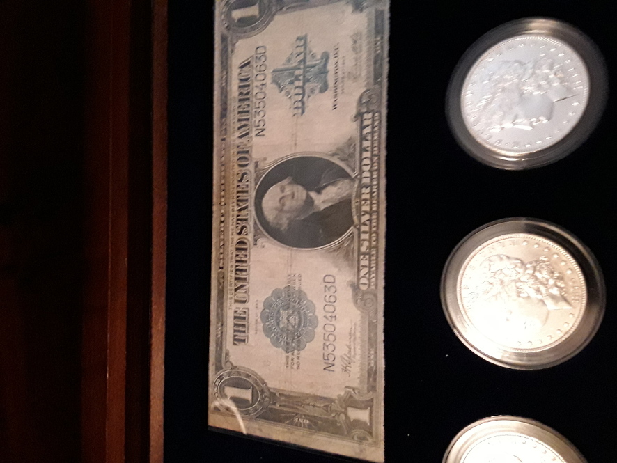 Morgan-Dollars-In-A-Display-Case