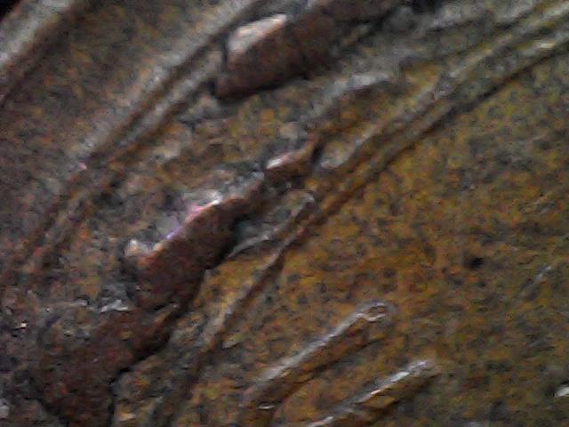 The-Bugs-Are-In-The-Wheat-Stock-1953-Wheat-Cent