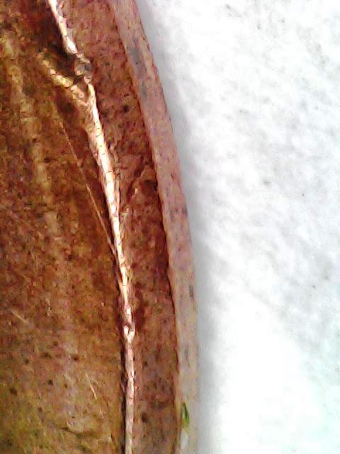 2012-Cent-Maybe-Lamination-Burr
