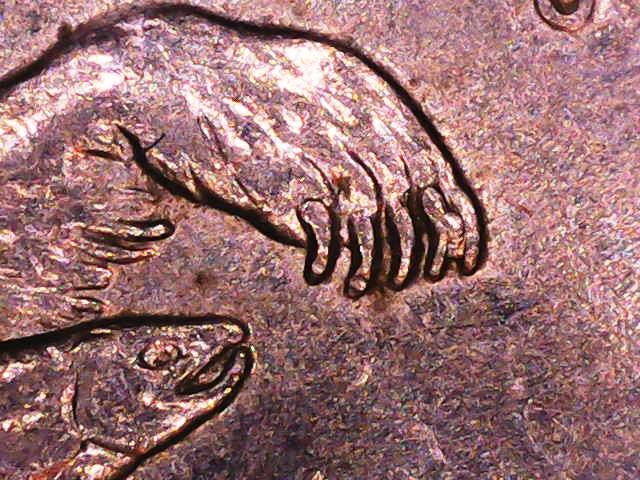 2008-Alaska-Quarter-Chip-Between-Claws