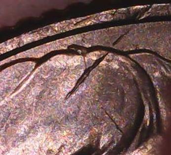 2023-P-Jovita-Idar-Quarter-Die-Cracks-And-Chips