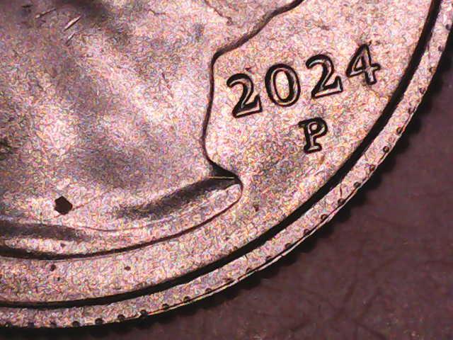 2024-P-Patsy-Takemoto-Mink-Quarter-Beehive-Die-Chip--And-I-Think-This-Is-Finning