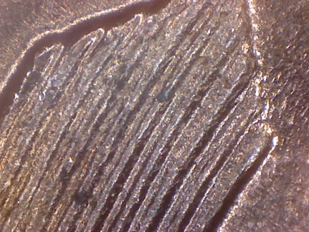 1958-D-Penny-Unc-Bank-Roll-Coin-DDR-Wheat-Stocks-Both-Doubled-L'ing-4-Grade
