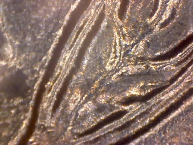 1958-D-Penny-Unc-Bank-Roll-Coin-DDR-Wheat-Stocks-Both-Doubled-L'ing-4-Grade