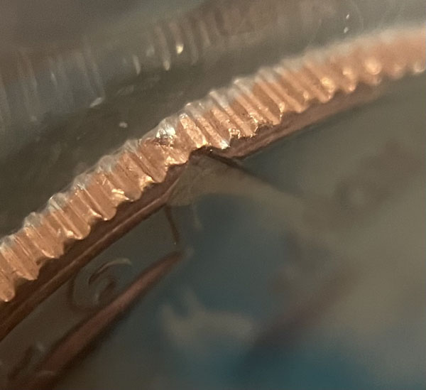 We-Said-'Uncirculated,'-We-Didn't-Say-'Undamaged'
