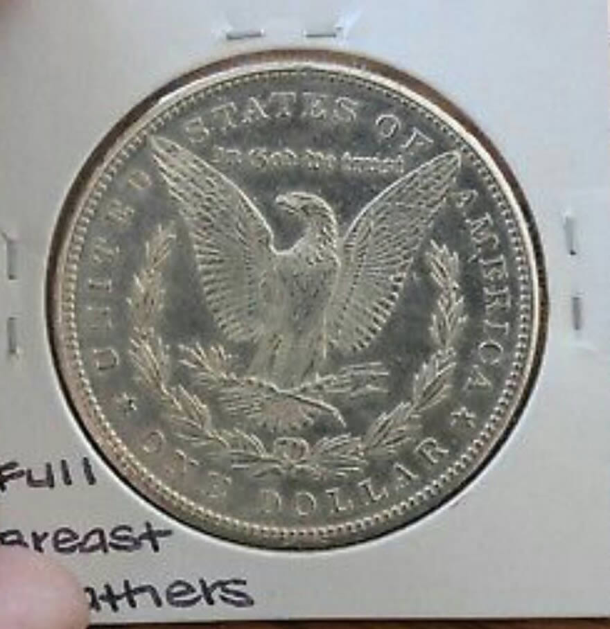 1900-Morgan-Grade-Please.