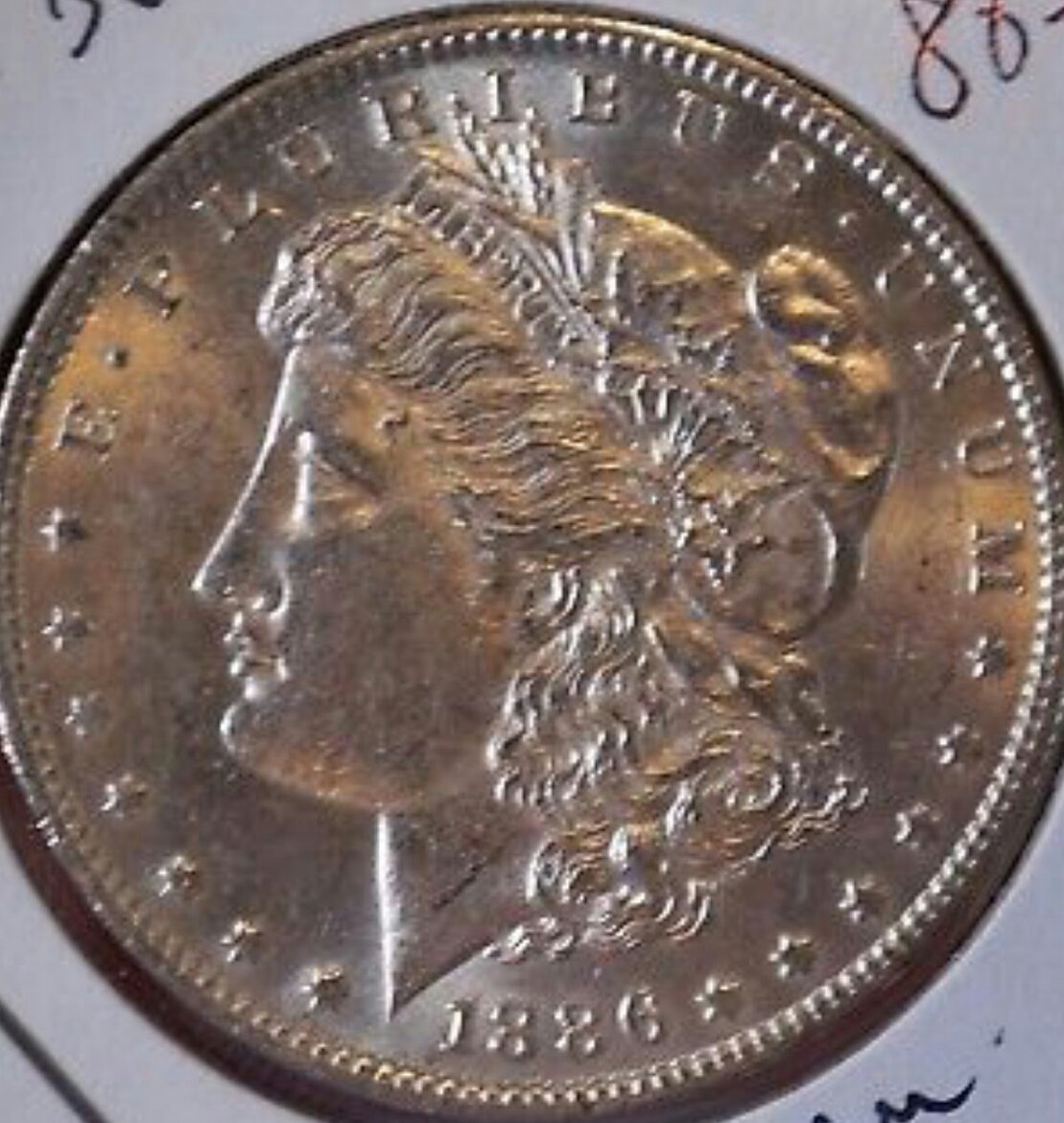 Morgan-Dollar-#2-Grade-Please