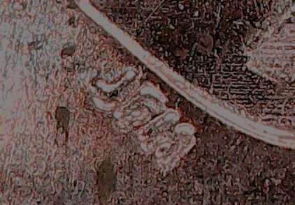 2017-D-Cent---Doubling-On-Obverse-And-Reverse?