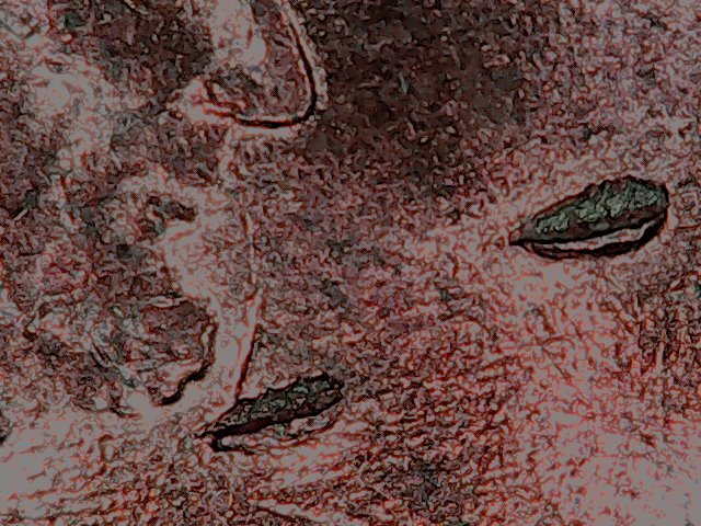 2011-D-Cent---Unknown-Material-Embedded-On-Obverse