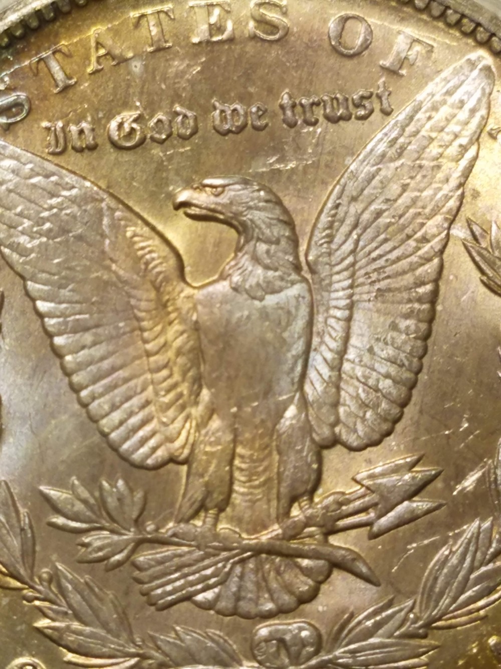 Should-I-Send-It-In-To-TPG?-Whats-The-Grade?-1891-O-Morgan