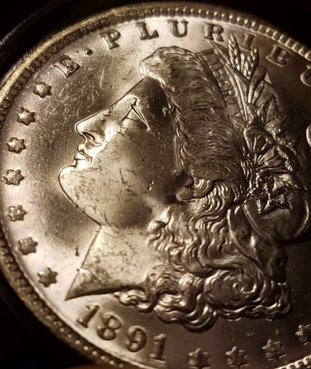 Should-I-Send-It-In-To-TPG?-Whats-The-Grade?-1891-O-Morgan