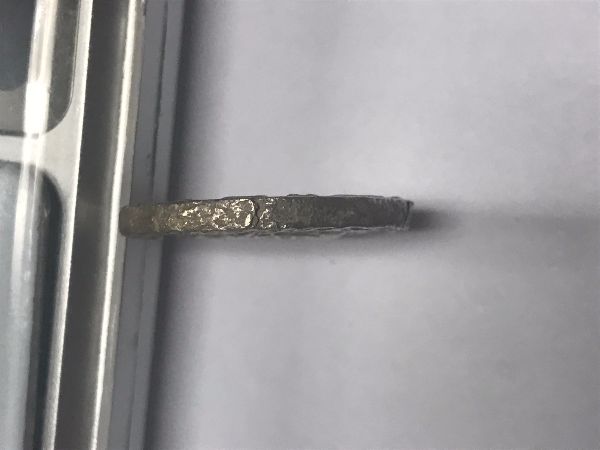 Fake-Coin-Of-Bactria?