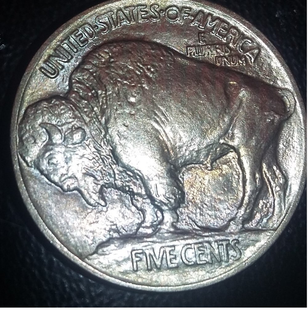 For-Grading-A-1913-Type-1-Buffalo,-Odd-Toning-From-Old-Coin-Flip