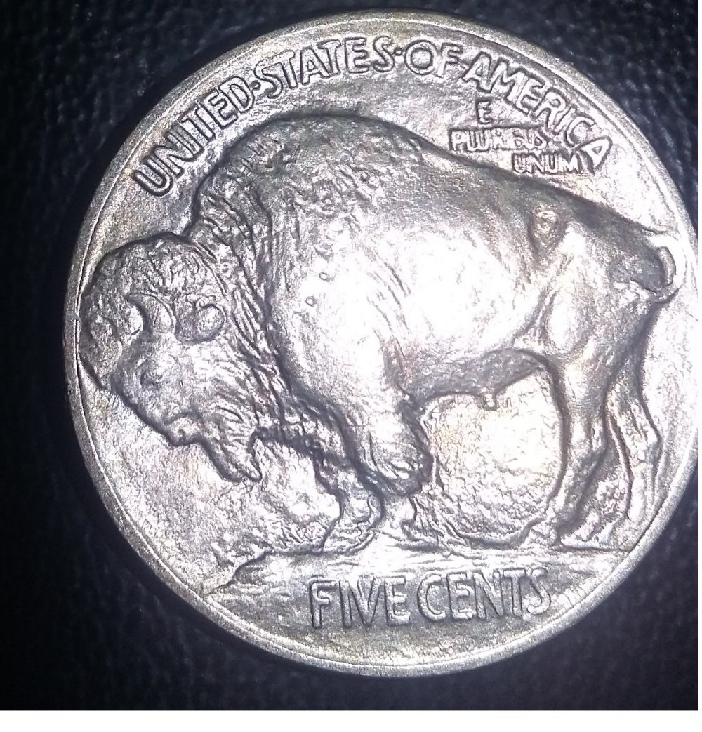 For-Grading-A-1913-Type-1-Buffalo,-Odd-Toning-From-Old-Coin-Flip