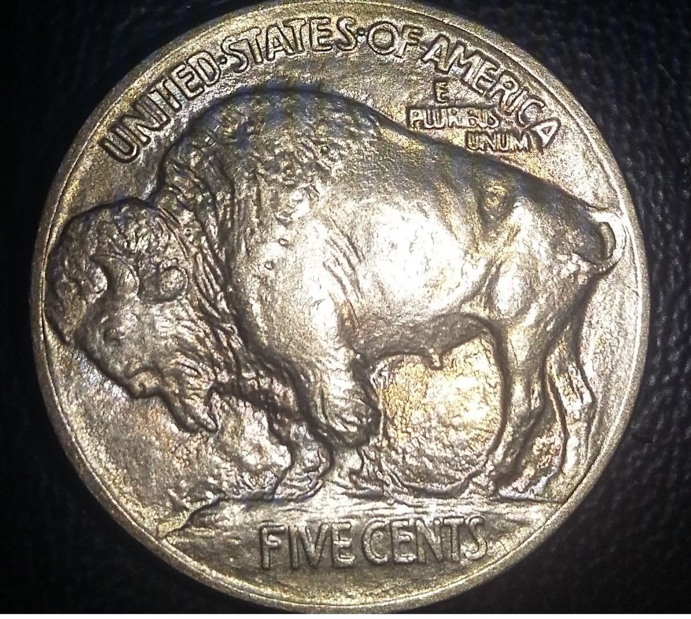 For-Grading-A-1913-Type-1-Buffalo,-Odd-Toning-From-Old-Coin-Flip