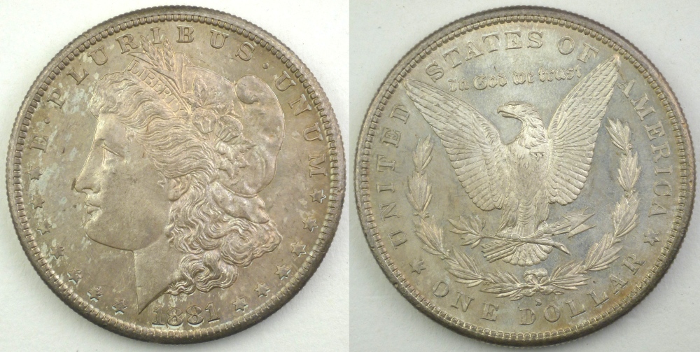 Toned-1881-S-Morgan-Dollar-For-Grading-And-Opinions