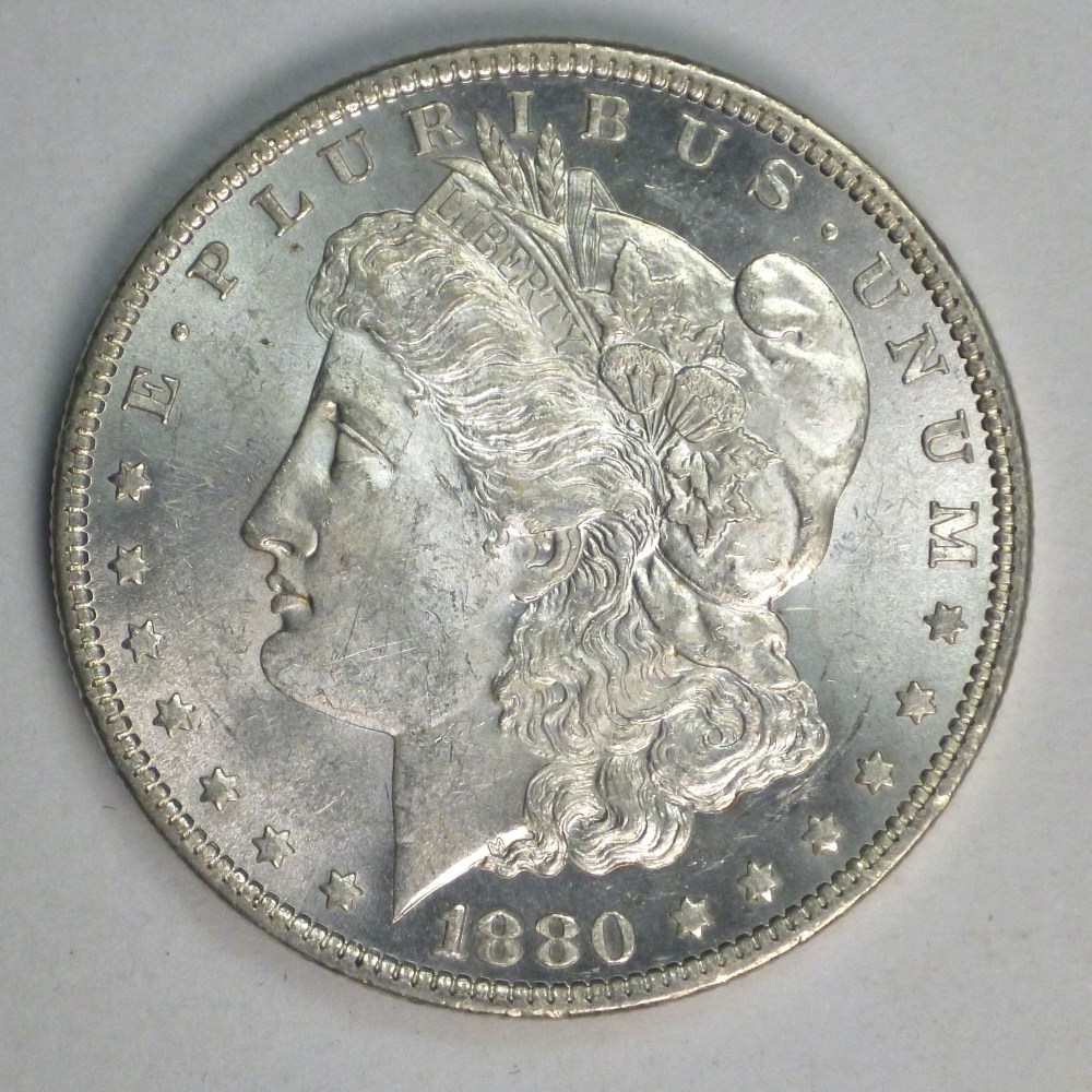 My-Complete-Dansco-7178/7179-Morgan-Dollar-Date-And-Mint-Mark-Set-Goal.