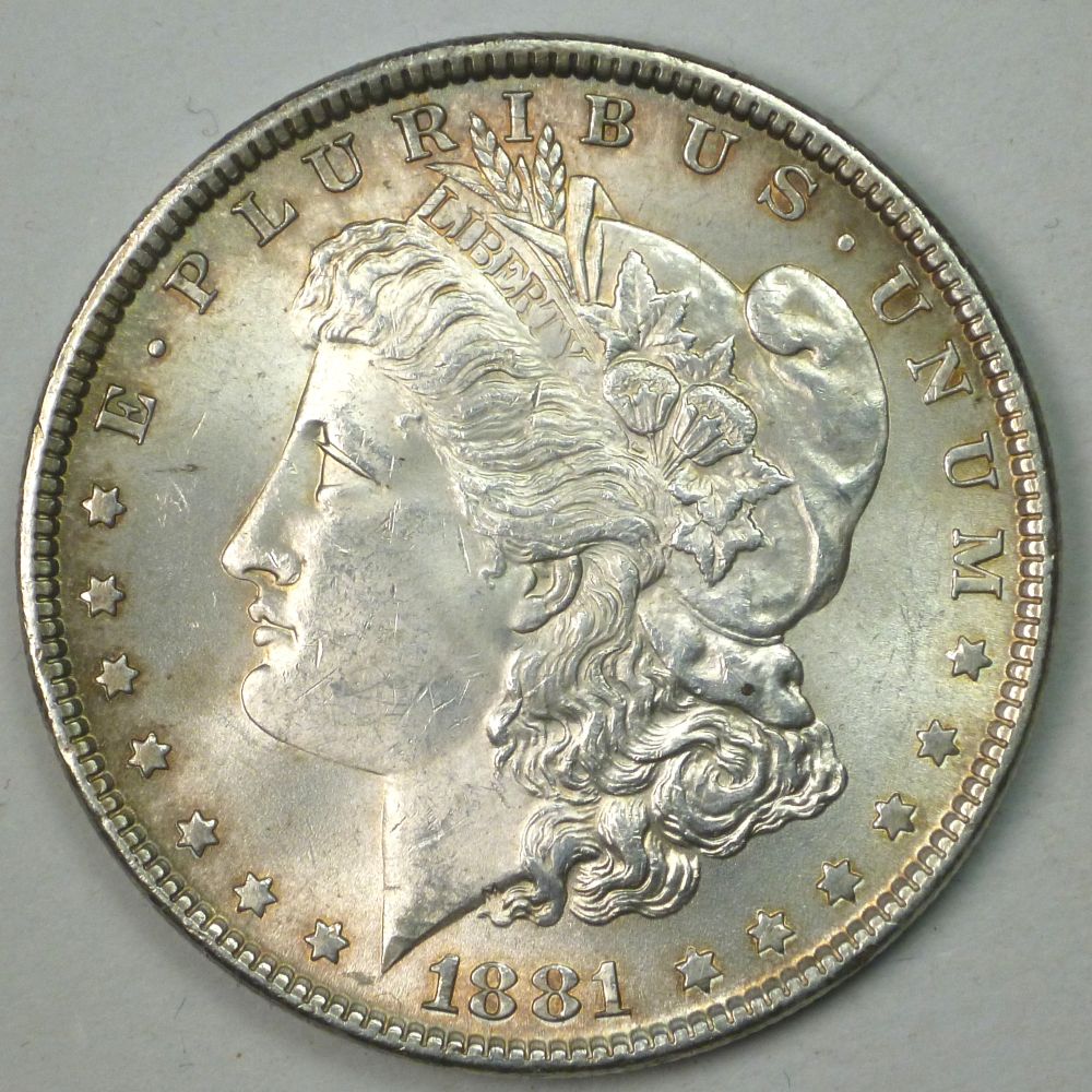 My-Complete-Dansco-7178/7179-Morgan-Dollar-Date-And-Mint-Mark-Set-Goal.