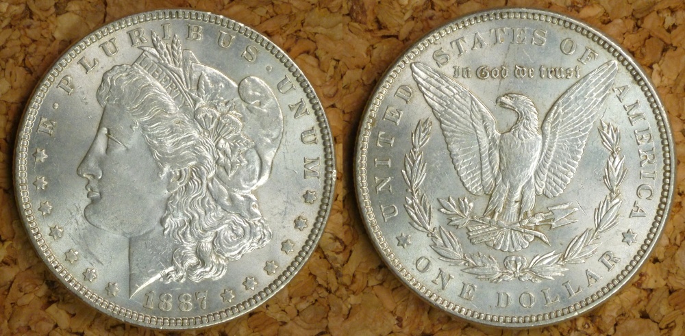 My-Complete-Dansco-7178/7179-Morgan-Dollar-Date-And-Mint-Mark-Set-Goal.