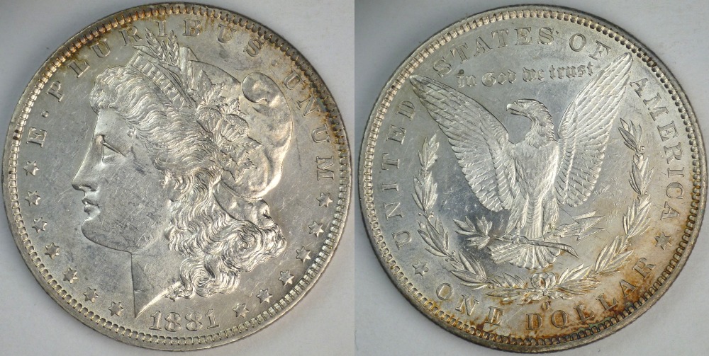 My-Complete-Dansco-7178/7179-Morgan-Dollar-Date-And-Mint-Mark-Set-Goal.