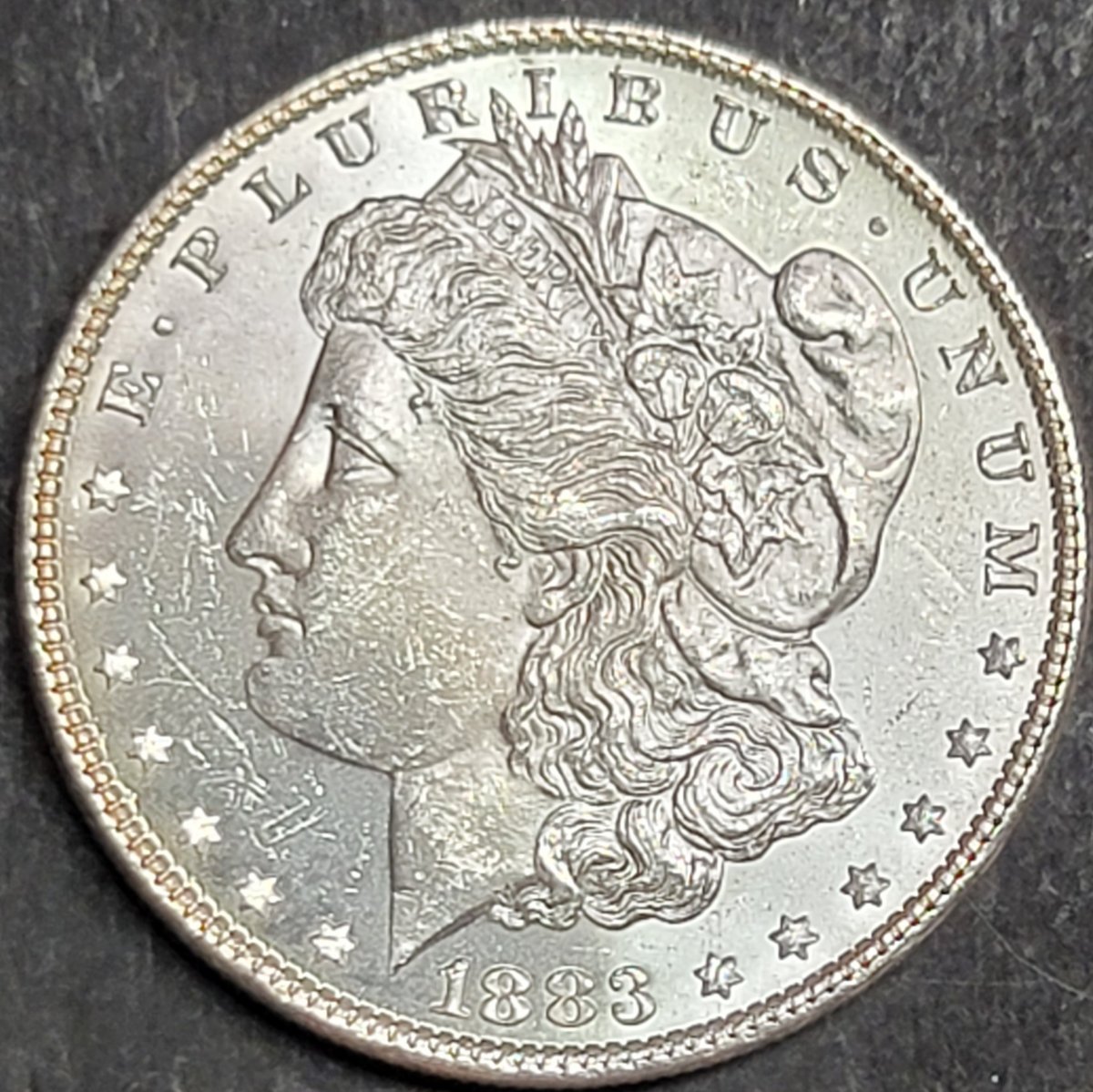 Please-Help-Me-Grade-These-Morgans.