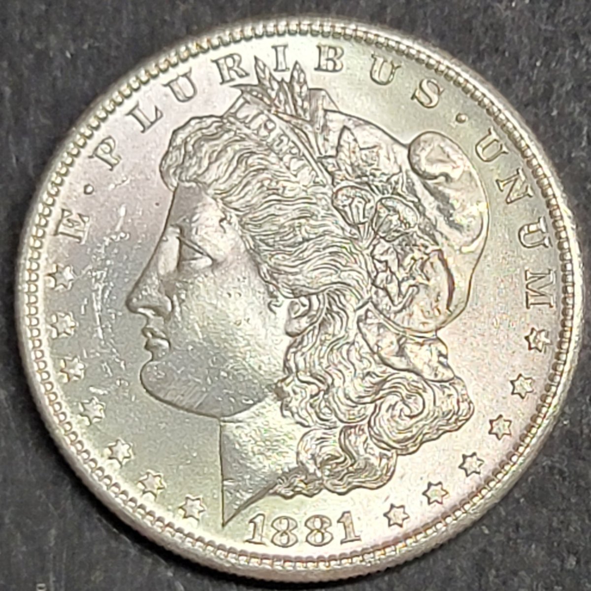 Please-Help-Me-Grade-These-Morgans.
