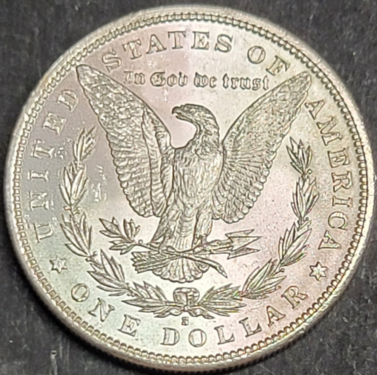 Please-Help-Me-Grade-These-Morgans.