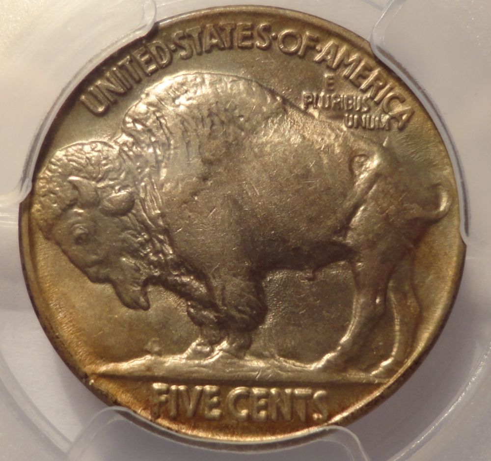 My-Buffalo-Collection-Working