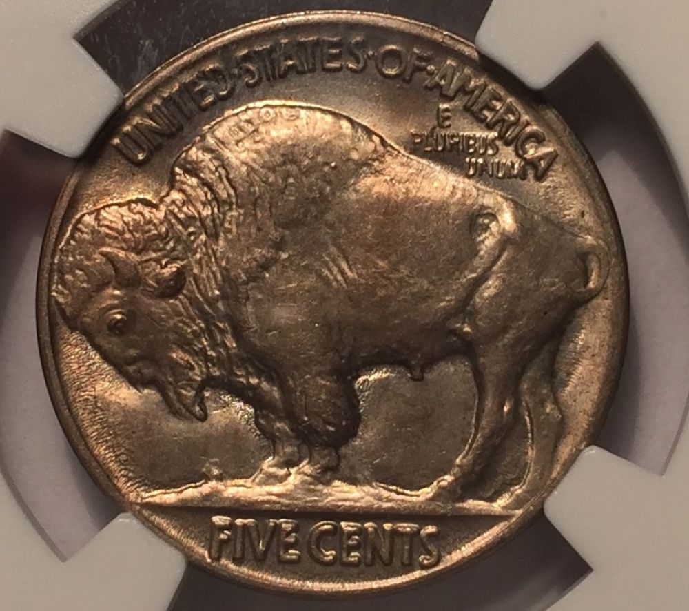My-Buffalo-Collection-Working