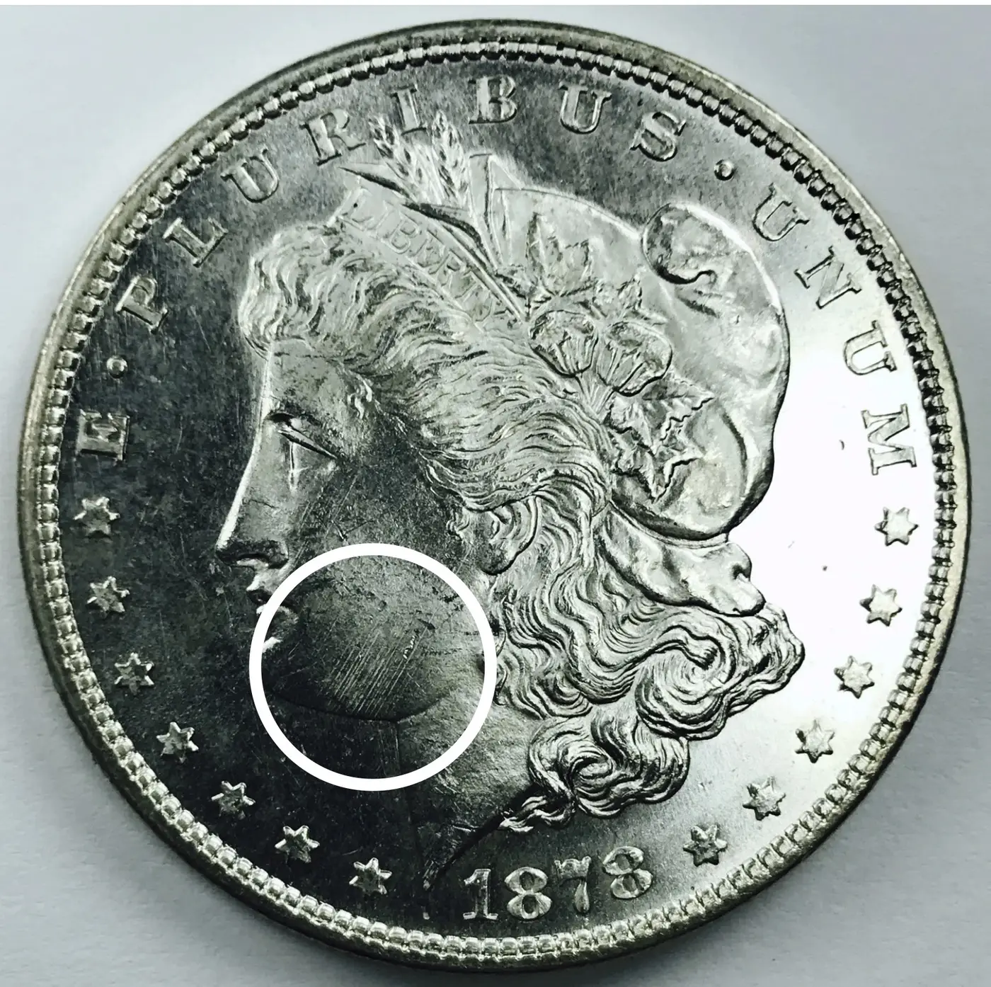 Morgan-Dollar-Striations