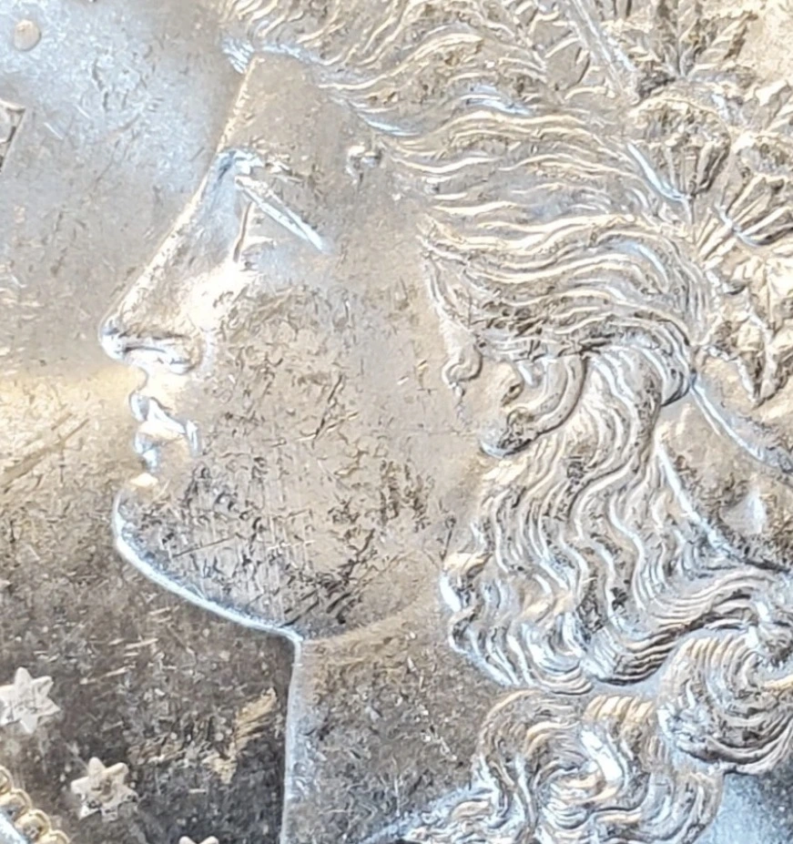 Morgan-Dollar-Striations