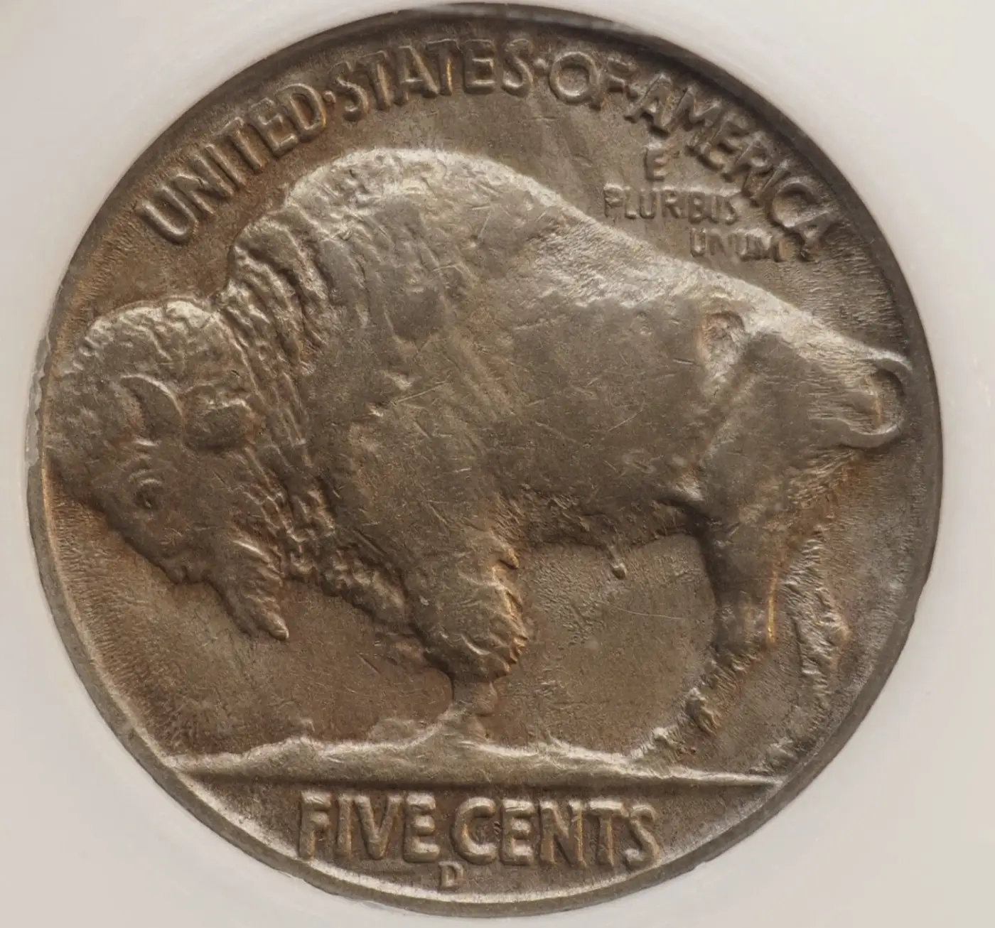 Opinions-On-This-37d,-3-Leg-Buffalo