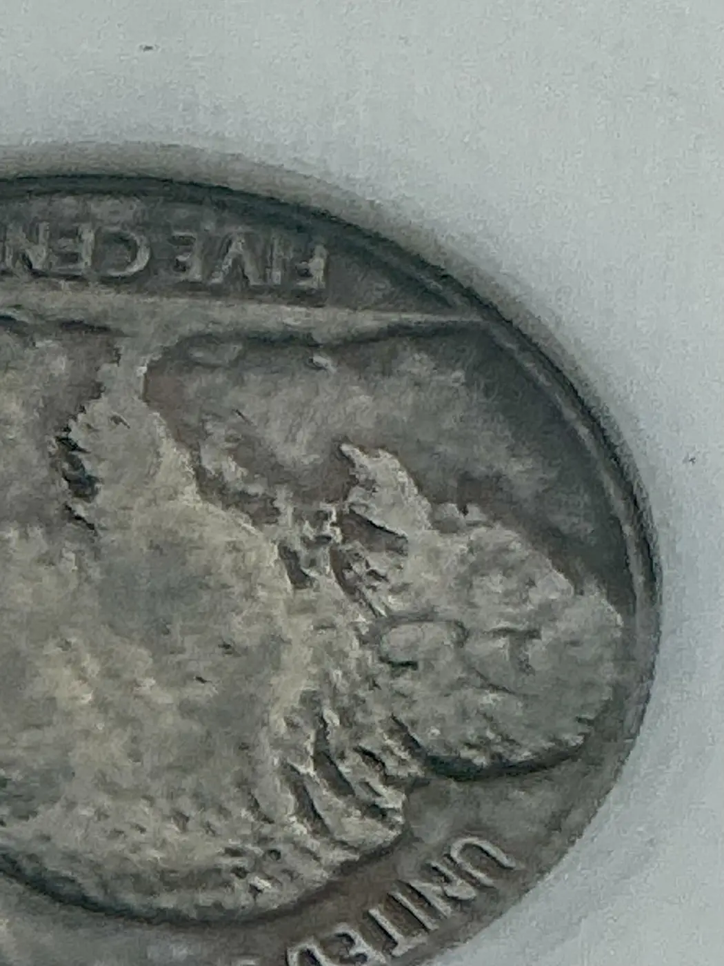 Opinions-On-This-37d,-3-Leg-Buffalo