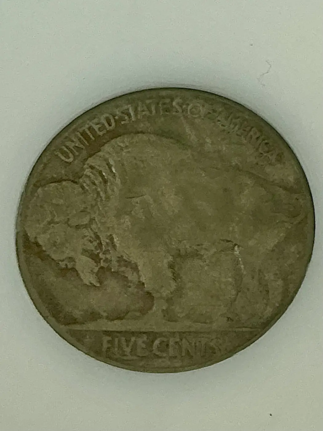 Opinions-On-This-37d,-3-Leg-Buffalo