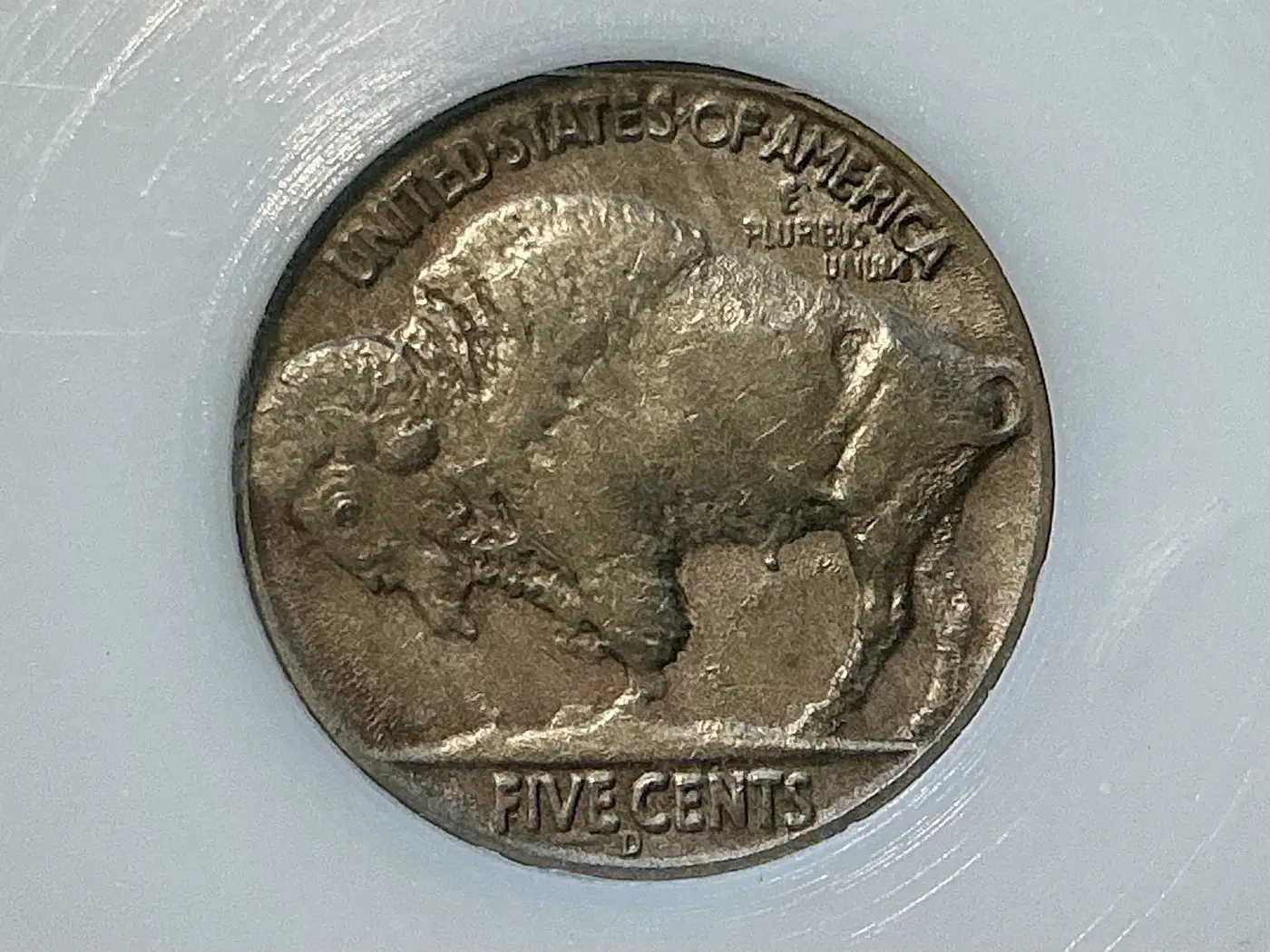 Opinions-On-This-37d,-3-Leg-Buffalo