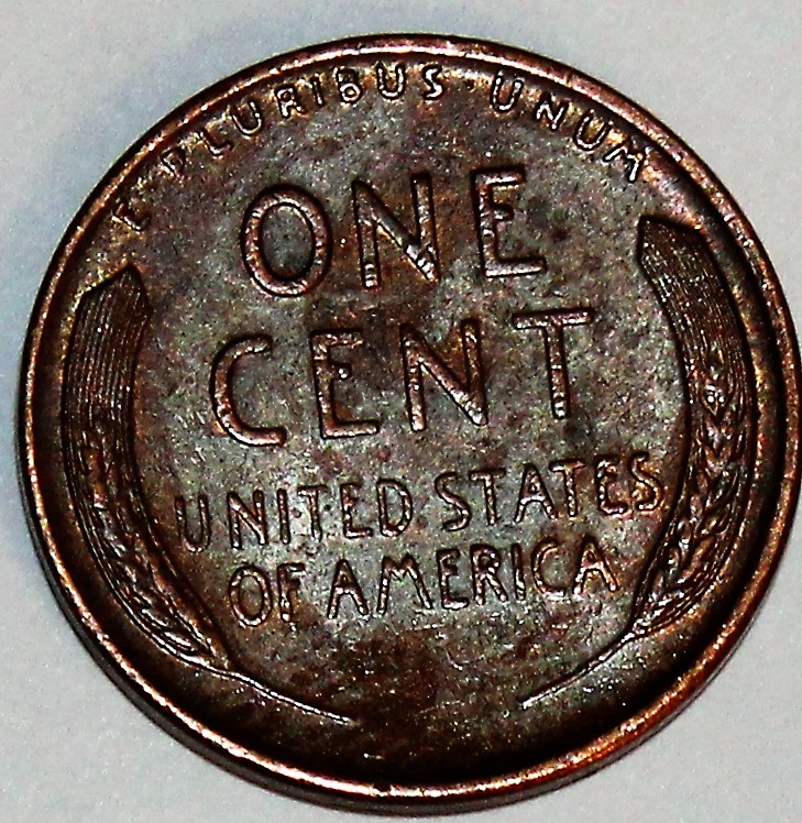 Found-This-In-A-Bank-Roll-Today,-1951-D-LWC